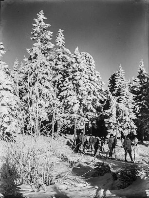 Skiwanderung : Eine Jungengruppe wandert durch den Winterwald von Boží Dar