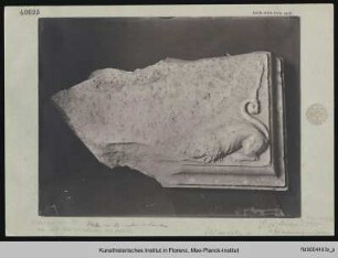 Fragment mit Löwenmotiv
