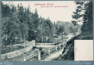Die Rote Weißeritz bei der Spechtritzmühle in Spechtritz (Rabenau) im Rabenauer Grund