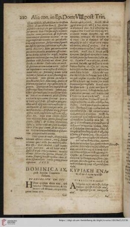 Dominica IX. post Sanctæ Trinitatis Festum