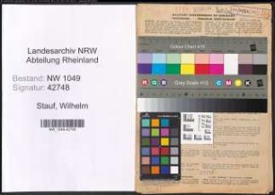 Entnazifizierung Wilhelm Stauf , geb. 05.01.1894 (Dachdecker)