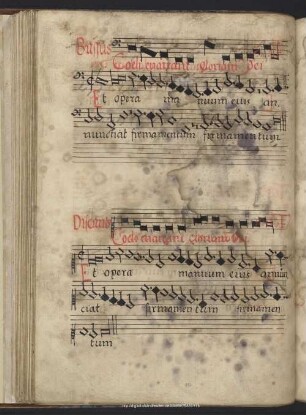 Stoltzer, Thomas: Caeli enarrant gloriam Dei