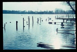 Havel b. Heiligensee 12.3.66.