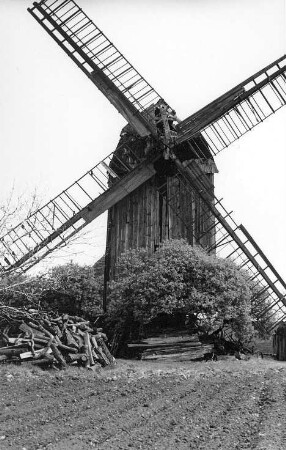 Wolmirstedt. Auerbachs Mühle, Bockmühle, Baujahr 1842