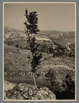 Blick auf Chiusi della Verna, nördlich von Arezzo, Toskana