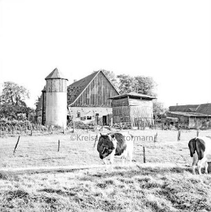 Landwirtschaft: Weide mit Kühen: dahinter Bauerngehöft Herbst mit Silo und Nebengebäuden: hinten Bäume