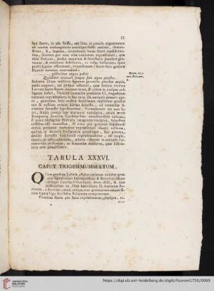 Tabula XXXVI. Caput Trigesimumsextum
