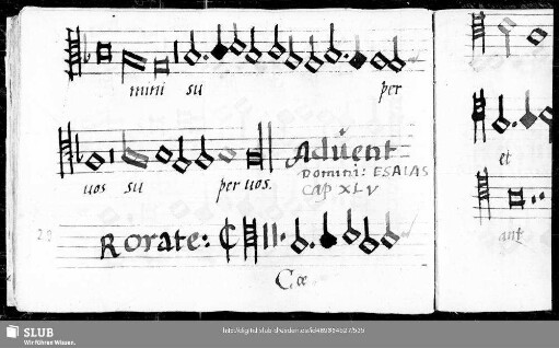 Anonymus: Rorate caeli