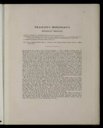 Phasianus mongolicus