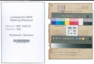 Entnazifizierung Hermann Rosswurm , geb. 31.01.1888 (Lehrer)