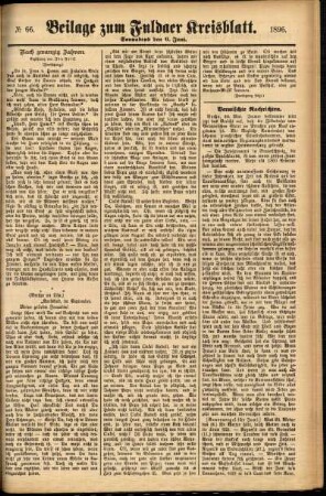 Zweite Ausgabe vom Samstag, den 06. Juni 1896.