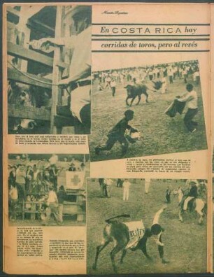 En Costa Rica hay corridas de toros, pero al revés [Fotografías]