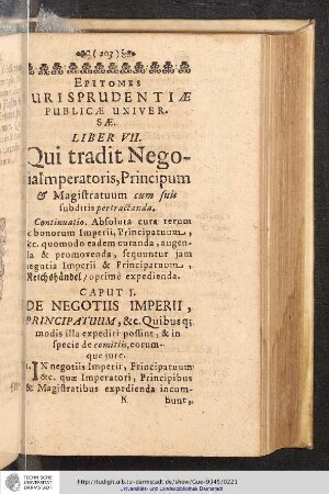 Epitomes Jurisprudentiae Publicae Universae. Liber VII.