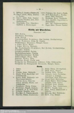 Kiebitz mit Pfarrsteina