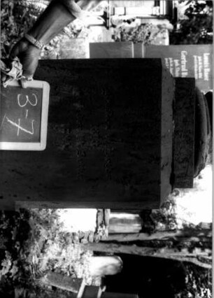 Grabstein C II B/3/7 (Detailaufnahme)