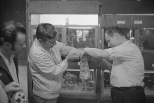 Verein für Aquarien- und Terrarienkunde "Gasterosteus" Karlsruhe e.V. Zierfisch- und Pflanzenbörse auf dem Vereinsgelände in Knielingen