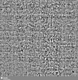 LENCK = S.195/196