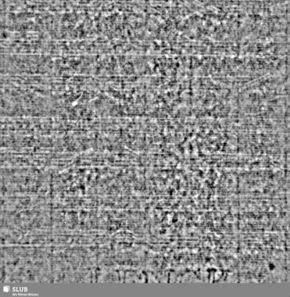 LENCK = S.195/196