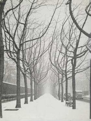 Ohne Titel (Allee Edgar Quinet, Paris)