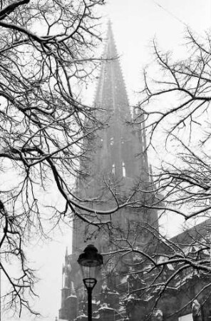 Freiburg: Münsterturm durch verschneite Bäume