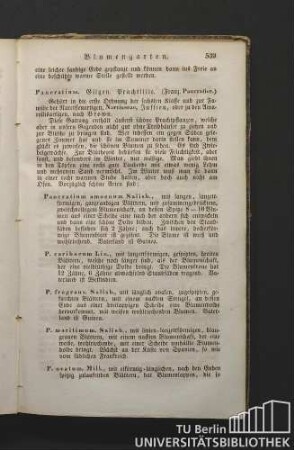 Pancratium. Gilgen. Prachtlilie. (Franz. Paneratier.)