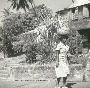 Reisefotos. Straßenbild mit Frau, einen Korb auf dem Kopf tragend (wahrscheinlich auf Haiti)