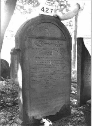 Grabstein 427