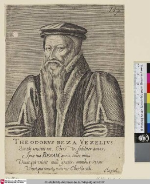 Theodorus Beza Vezelius