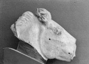 Pferdekopf, Fragment von der Basis der Nemesis-Statue in Rhamnus
