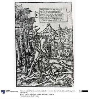 Herkules-Zyklus: Herkules tötet den nemäischen Löwen