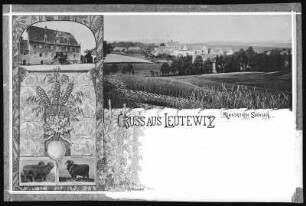 Leutewitz