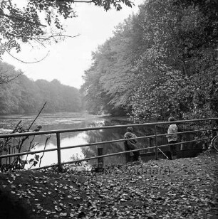 Kupfermühle: Kupfermühlenteich: im Vordergrund abgefallene Blätter: vorn Geländer: rechts dahinter zwei Jungen mit Angel: hinten Wald