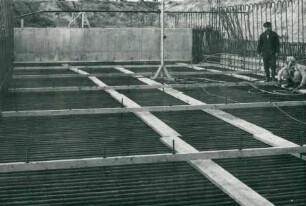 Staustufen, 1960-1961