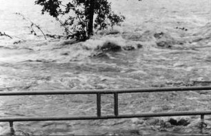 Wilsdruff-Grund. Triebischhochwasser