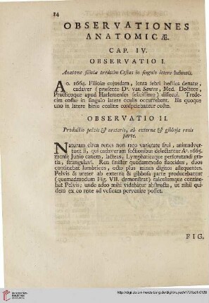 Cap. IV: Observationes anatomicae