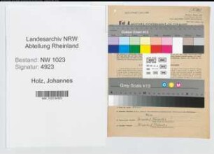 Entnazifizierung Johannes Holz , geb. 06.04.1913 (Steuerinspektor)