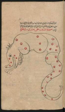 Illustration: Sternbild des Drachens