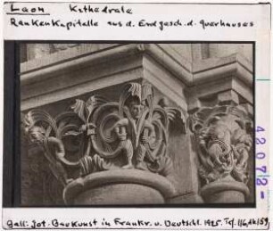 Laon, Kathedrale: Rankenkapitelle aus dem Erdgeschoss des Querhauses