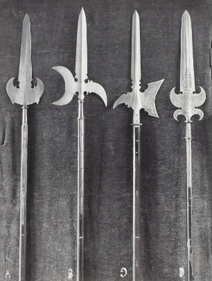 Stangenwaffen: zwei Partisanen und zwei Helmbarten