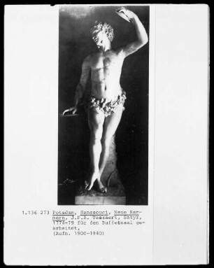 Satyr