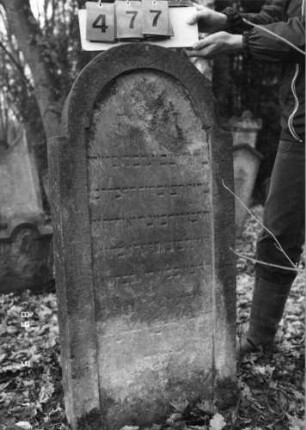 Grabstein 477 (Index: 99751138) Material: Sandstein Zustand: abgeblättert/verwittert mit Textverlust Maße HxBxT: 117x56x12 cm Beschreibung: Stele, eingezogener Rundbogenabschluß, Schriftfeld eingetieft: Grabstein 477