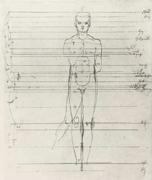 Mann ohne linken Arm von vorn mit Proportionslinien und Beschriftungen : Dresdner Skizzenbuch (1507/1528). Mann ohne linken Arm von vorn mit Proportionslinien und Beschriftungen (aus: R. Bruck: Das Skizzenbuch von Albrecht Dürer, Straßburg 1905, Tafel 50, Blatt 128 b, Str. 64, Kriegsverlust). Dresden: SLUB Mscr.Dresd.R.147.f