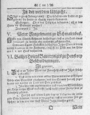VI. Baltzer Hoiers Bauernvoigts zu Hanstorp Beschuldigungen.