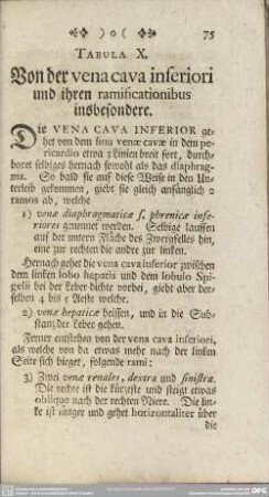 Tabula X. Von der vena cava inferiori und ihren ramificationibus insbesondere