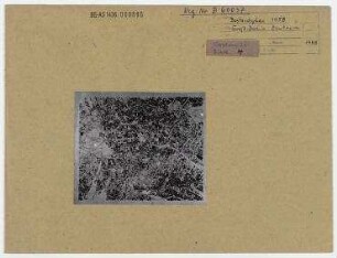 Gross-Berlin Zentrum. Bestandskarte 1958. Berlin, Innenstadt