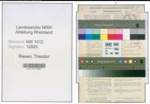 Entnazifizierung Theodor Riesen , geb. 18.08.1897 (Pfarrer)