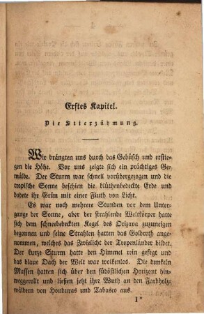 Die Freischaar : Eine Erzählung aus dem letzten amerikanischen Kriege. Von Mayne Reid. Aus dem Englischen, 2