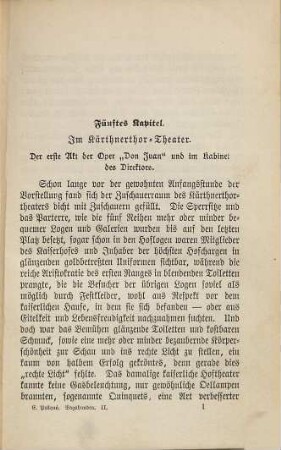 Die Vagabunden : Roman, 2. Band