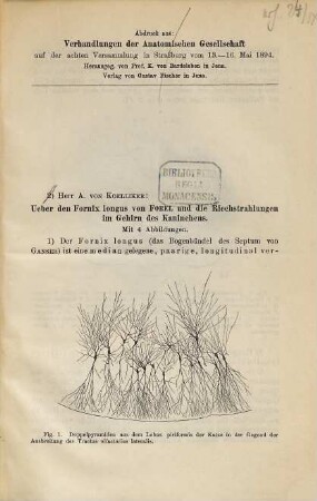 Ueber den Fornix longus yon Forel und die Riechstrahlungen im Gehirn des Kaninchens : Mit 4 Abbildungen. Abdruck aus: Verhandlungen der Anatomischen Gesellschaft auf der 8. Versammlung in Strassburg vom 13. - 16. Mai 1894. Herausgeg. von Prof. K. von Bardeleben in Jena