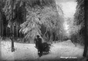 Holzsammler mit Schlitten an der Satzunger Straße / Horizontalweg